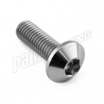Vis de disques de frein arrière titane BMW M8x25 mm (1.25) PRO-BOLT