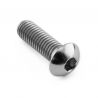 Vis de disques de frein avant titane BMW, Duke 790 M8x25 mm (1.25) tête bombée PRO-BOLT