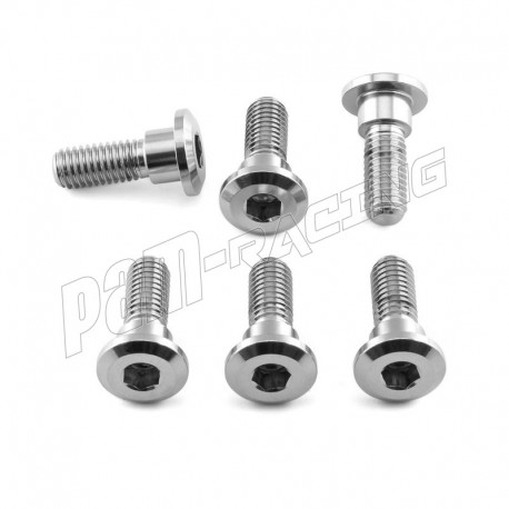 Kit 6 Vis de disques de frein arrière CB125/500/1300 M8x(1.25)x24 MM inox ou titane PRO-BOLT