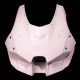 Carénage racing 11 parties AVIO fibre CARBONIN ZX10R 2021-2025