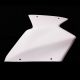 Carénage racing 11 parties AVIO fibre CARBONIN ZX10R 2021-2025