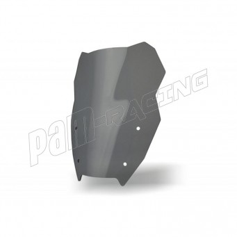Bulle Standard SRT SCREENS R1300GS 2024-2026