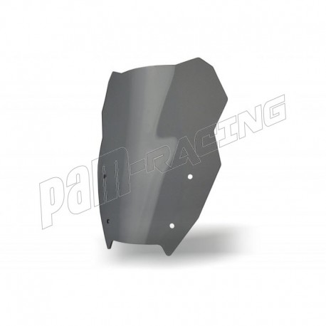 Bulle Standard SRT SCREENS R1300GS 2024-2026