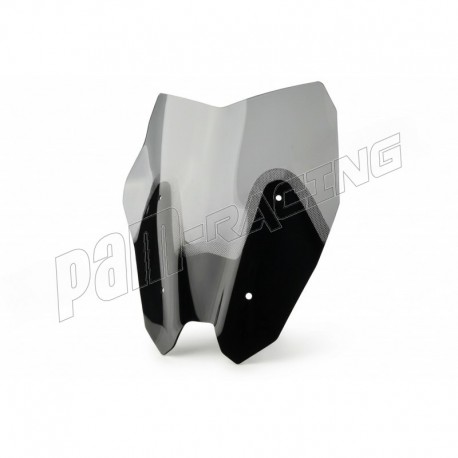 Bulle Standard SRT SCREENS R1200RS 2015-2018