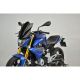 Bulle Racing Double Courbure SRT SCREENS G310R 2016-2019