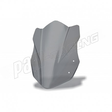 Bulle Racing Double Courbure SRT SCREENS G310R 2016-2019