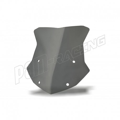 Bulle Standard SRT SCREENS R1250GS 2013-2018