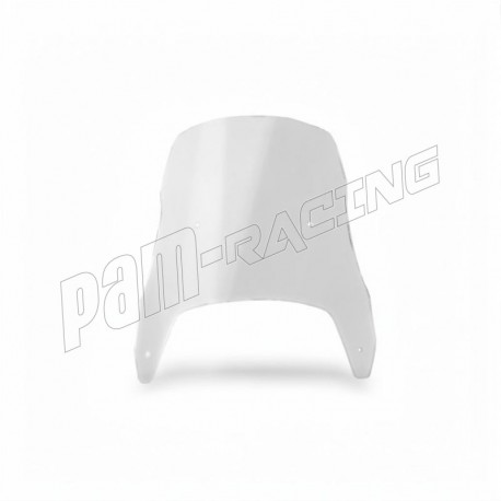 Bulle standard SRT SCREENS R1200 Nine-T 2014-2023
