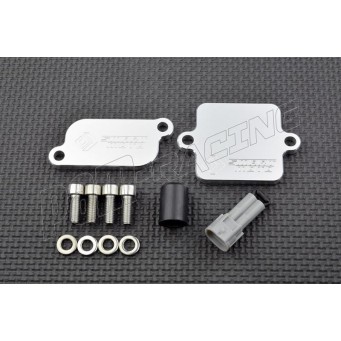 Plaques suppression antipollution valve SAS 675 SR-R, 675 NK 2025-2026 SmartMoto PLE-147