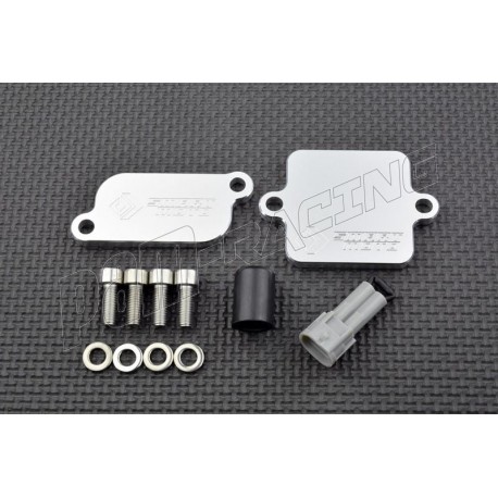 Plaques suppression antipollution valve SAS 675 SR-R, 675 NK 2025-2026 SmartMoto PLE-147