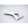 Flanc gauche fibre de verre R9 2025-2026 POLY-BIKE