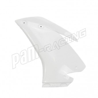 Flanc gauche fibre de verre RSV4 2015-2020 POLY-BIKE