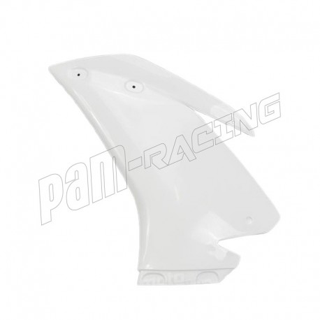 Flanc gauche fibre de verre RSV4 2015-2020 POLY-BIKE
