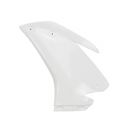 Flanc gauche fibre de verre RSV4 2015-2020 POLY-BIKE