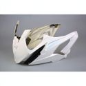 Tête de fourche racing avec ailerons fibre de verre S1000RR 2015-2018 POLY-BIKE