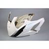 Tête de fourche racing avec ailerons fibre de verre S1000RR 2015-2018 POLY-BIKE