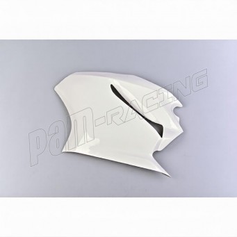 Flanc gauche fibre de verre 1299 Panigale 2015-2017 POLY-BIKE