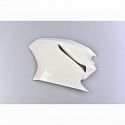 Flanc gauche fibre de verre 1299 Panigale 2015-2017 POLY-BIKE