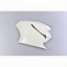 Flanc gauche fibre de verre 1299 Panigale 2015-2017 POLY-BIKE