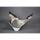 Tête de fourche racing fibre de verre ZX-10R 2008-2010 POLY-BIKE