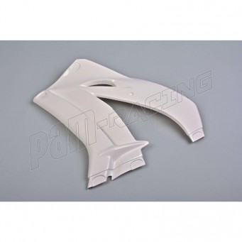 Flanc gauche fibre de verre ZX-10R 2016-2020 POLY-BIKE