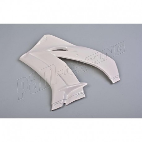 Flanc gauche fibre de verre ZX-10R 2016-2020 POLY-BIKE