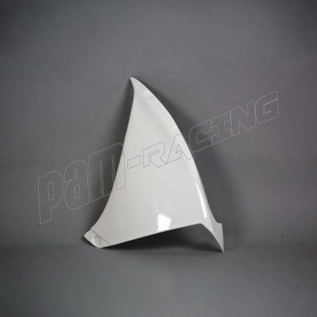 Flanc gauche fibre de verre R1 2009-2014 POLY-BIKE