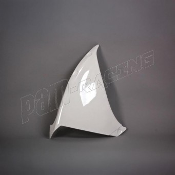 Flanc droit fibre de verre R1 2009-2014 POLY-BIKE