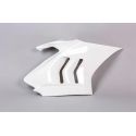 Flanc droit racing + support aluminium fibre de verre Panigale V4R 2019-2021 POLY-BIKE