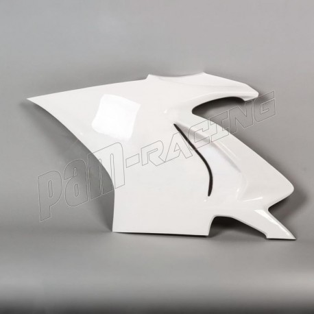 Flanc gauche racing fibre de verre Panigale V4 2018-2024 POLY-BIKE