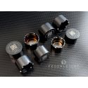 Kit de 8 pistons titane pour étrier BREMBO Daytona 660 2024-2026