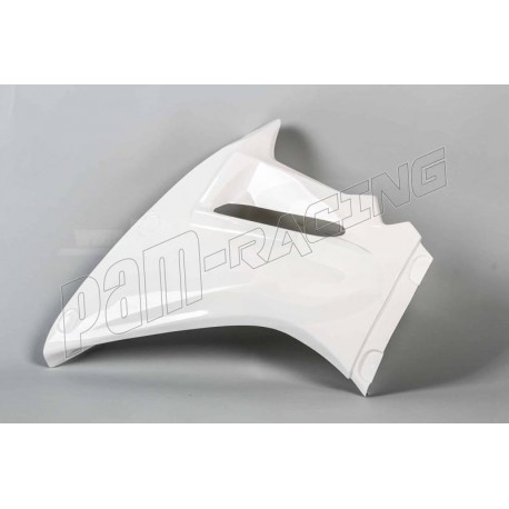 Flanc gauche racing fibre de verre CBR1000RR 2017-2019 POLY-BIKE