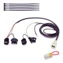 Faisceau QSH-F2D pour Quickshifter Easy1 HEALTECH iQSE-W1+QSH-F2D