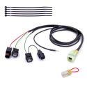 Faisceau QSH-F2F pour Quickshifter Easy1 HEALTECH iQSE-1+QSH-F2F