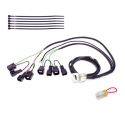 Faisceau QSH-P4A pour Quickshifter Easy1 HEALTECH iQSE-W1+QSH-P4A