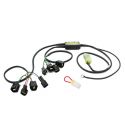 Faisceau QSX-P4B pour Quickshifter Easy1 HEALTECH iQSE-W1+QSX-P4B
