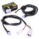 Calibreur de vitesse SpeedoHealer V4 HEALTECH AN400, T-Max 530