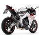 Silencieux INDY RACE EVO homologué ARROW 703 RR 2025-2026