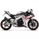 Silencieux INDY RACE EVO homologué ARROW 703 RR 2025-2026