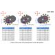 Commandes reculées Pure Concept PP Tuning GSX-R 1000 2017-2021
