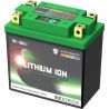 Batterie Lithium-Ion LTX14L avec indicateur SKYRICH