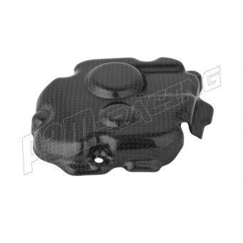 Protection carter allumage Carbone LIGHTECH KAWASAKI ZX10R 2011-2026