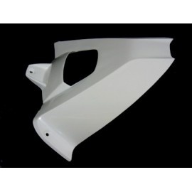 Garde-boue arrière fibre de verre S1000RR 2009-2016, HP4, S1000R SRT FAIRINGS