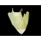 Sabot fibre de verre 125 RS (SP) 2006-2010 SRT FAIRINGS