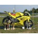 Protection de réservoir fibre de verre 125 RS (SP) 2006-2010 SRT FAIRINGS