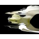 Flanc droit fibre de verre 1199 SRT FAIRINGS